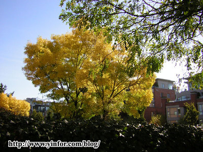 2006-fall.jpg