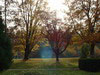 DSCF0349_t.jpg