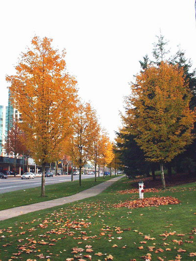 DSCF0353_resize.jpg