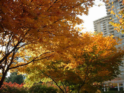 DSCF0354_resize.jpg