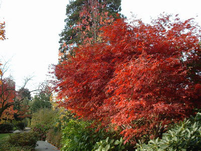 DSCF0355_resize.jpg