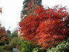DSCF0355_t.jpg