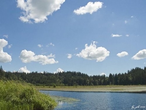burnaby_lake.jpg