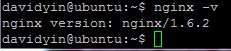 nginx-version